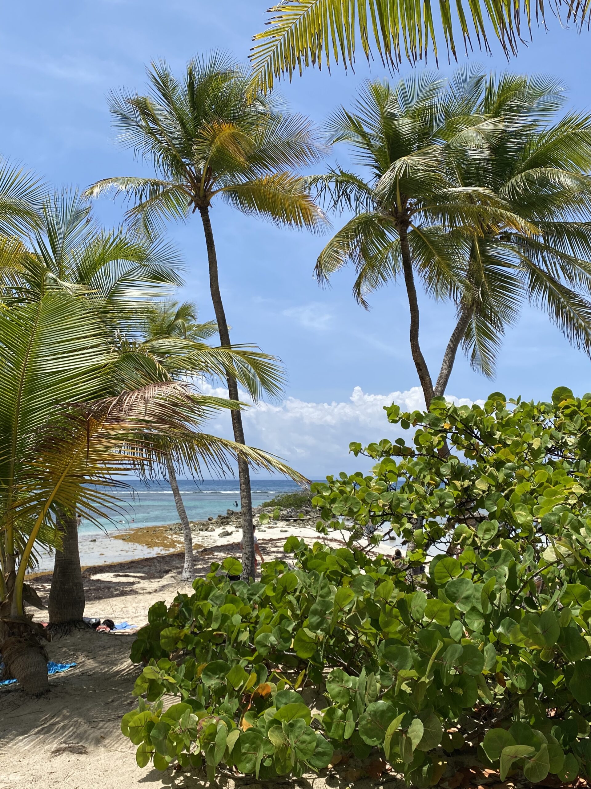 Guadeloupe
