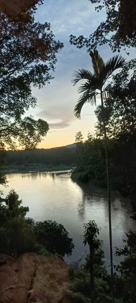 La jungle de Taman Negara