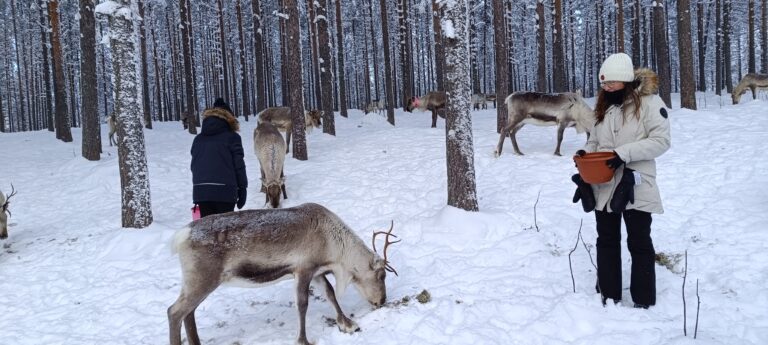 Laponie finlandaise